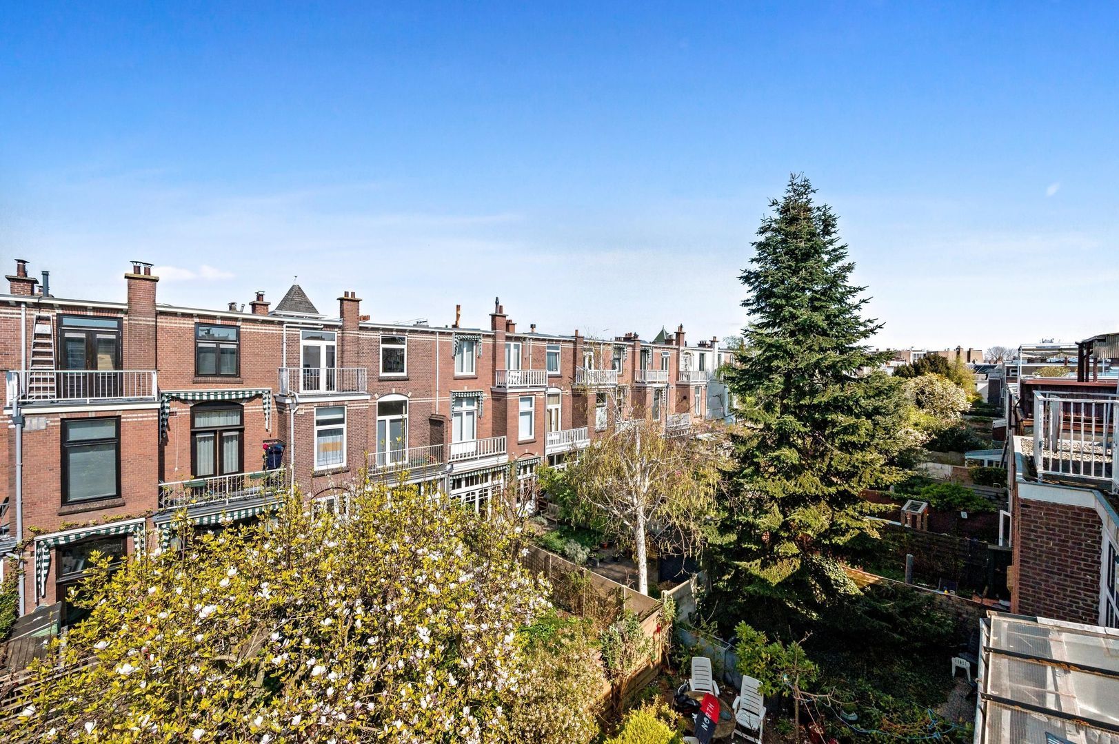 Buijs Ballotstraat 55