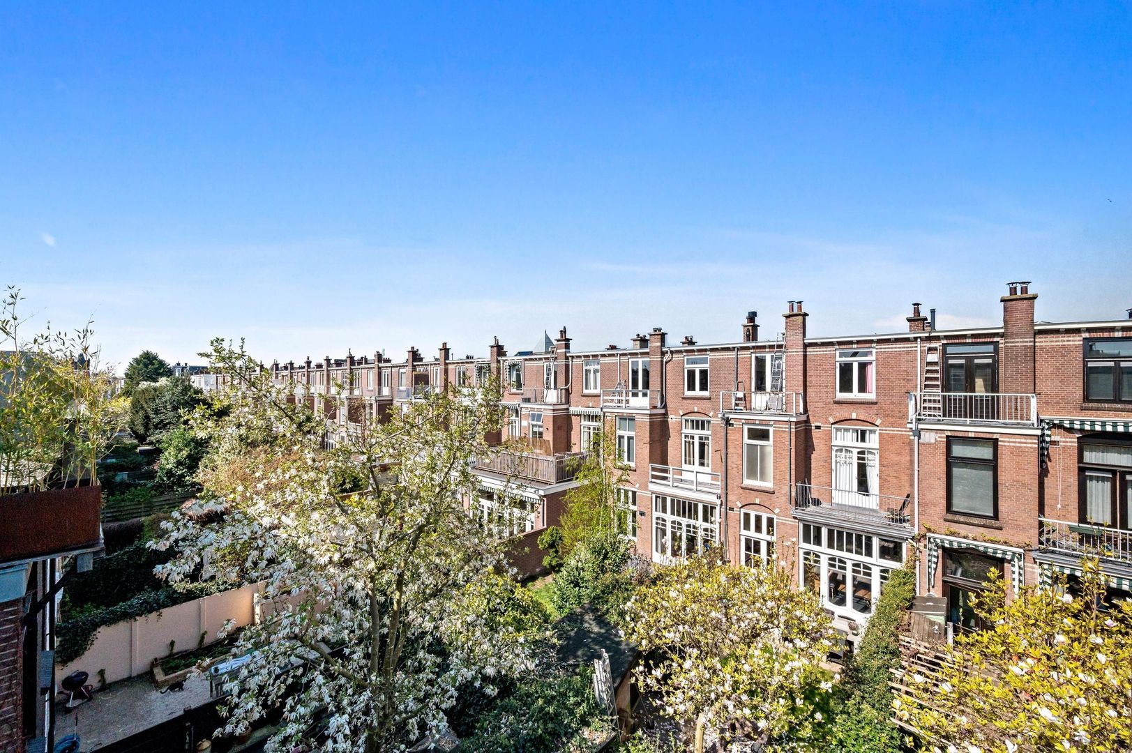 Buijs Ballotstraat 55