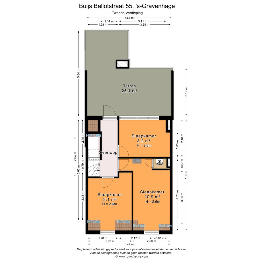 Buijs Ballotstraat 55