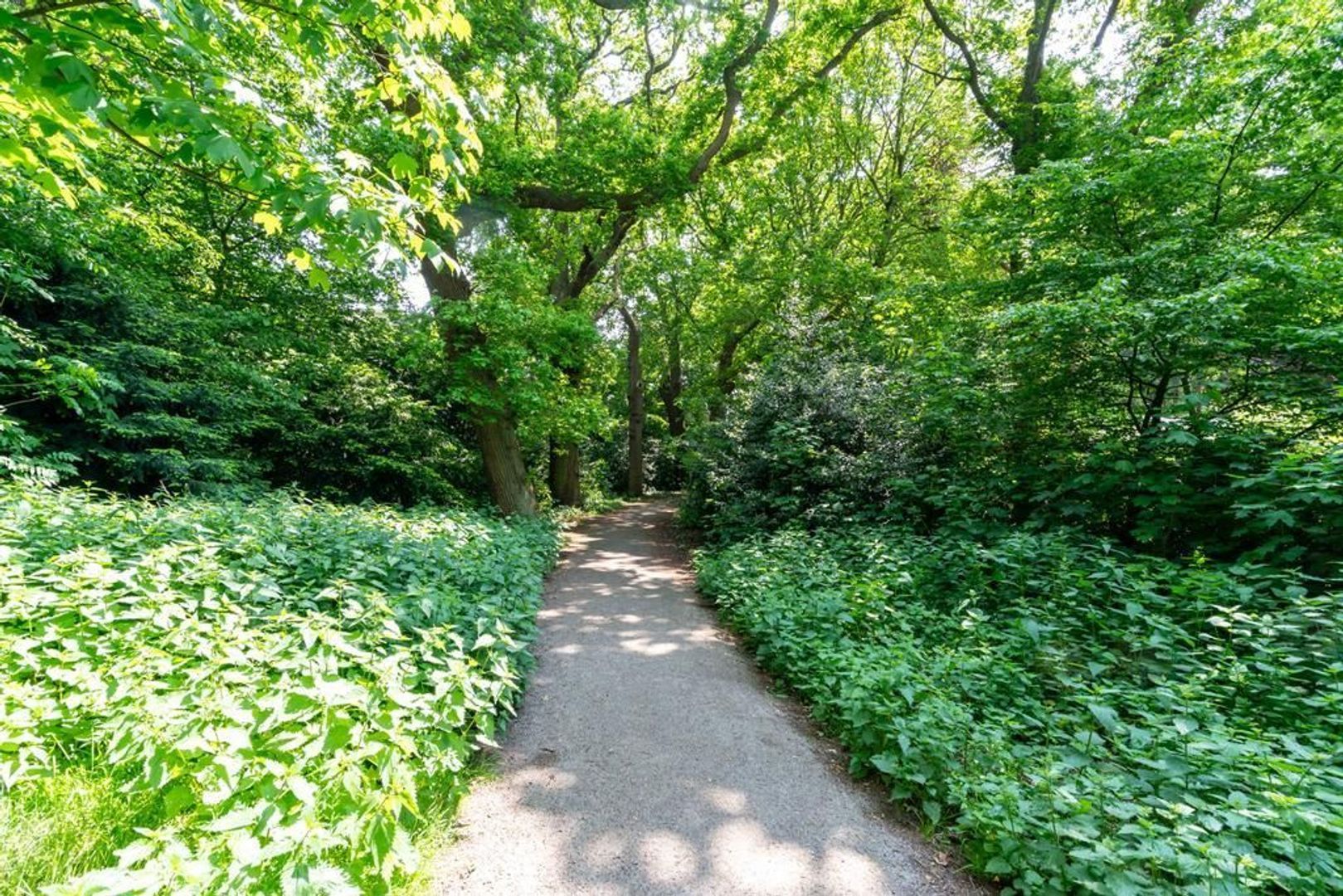 Van Kijfhoeklaan 108