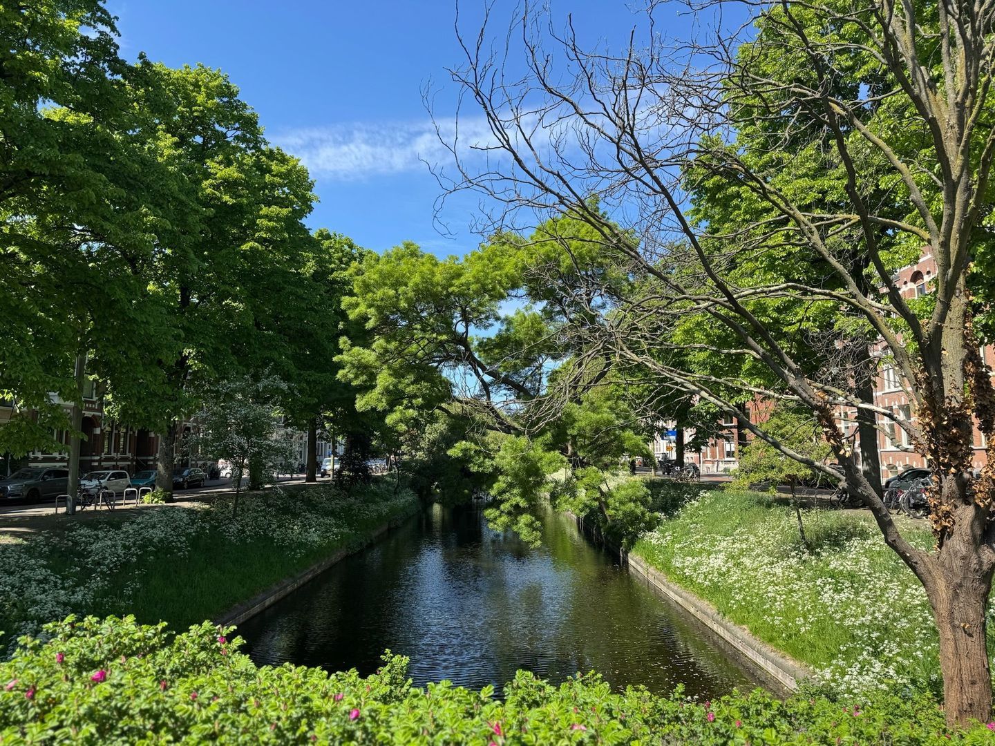 Waldeck Pyrmontkade 932