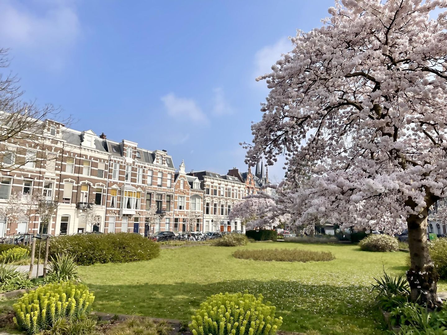 Waldeck Pyrmontkade 932