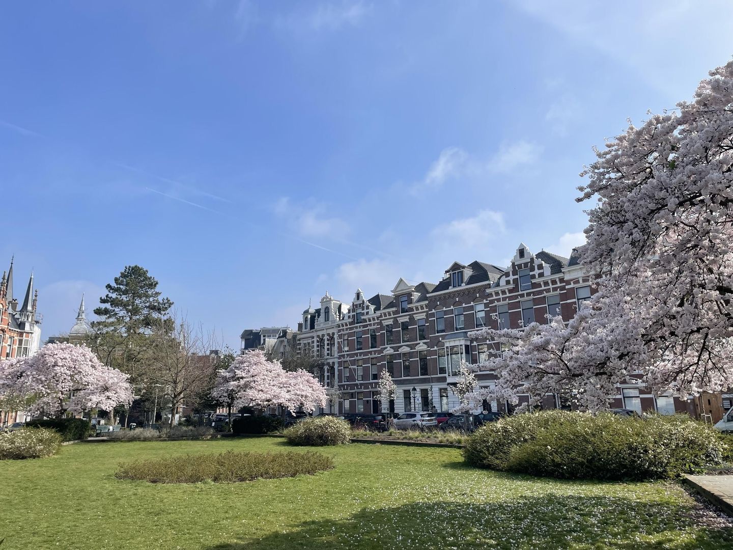 Waldeck Pyrmontkade 932