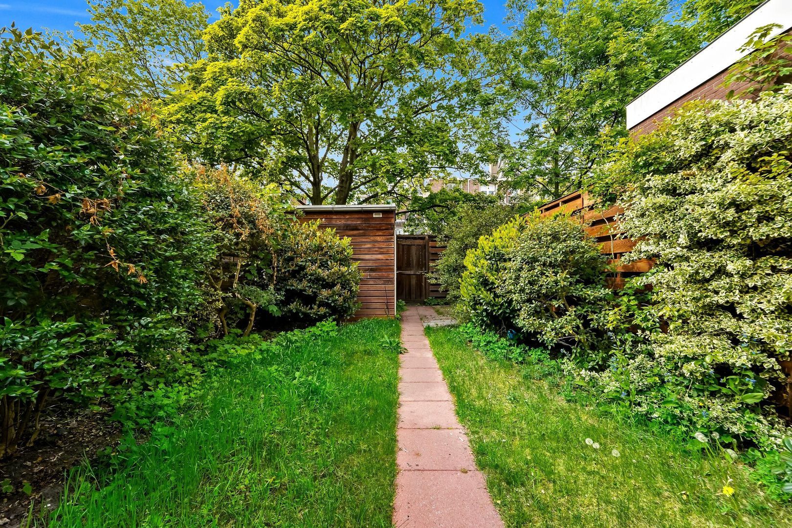 Paulus Buijsstraat 49 E