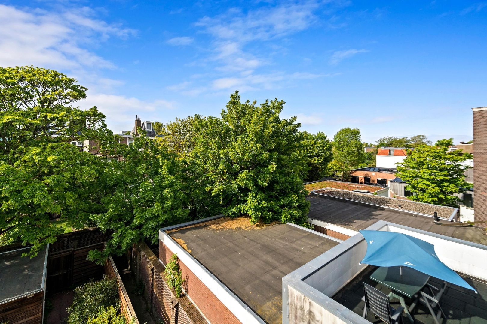 Paulus Buijsstraat 49 E