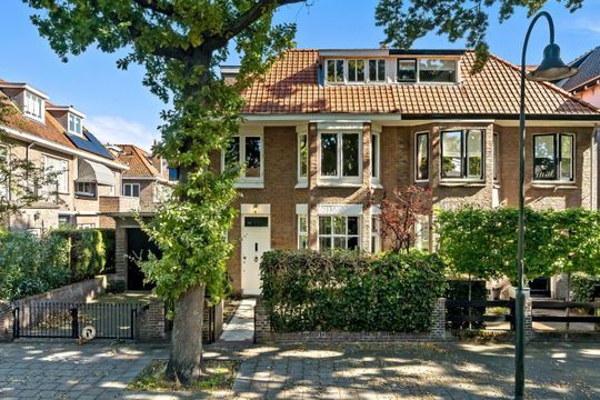 Groen van Prinstererlaan 41 blur