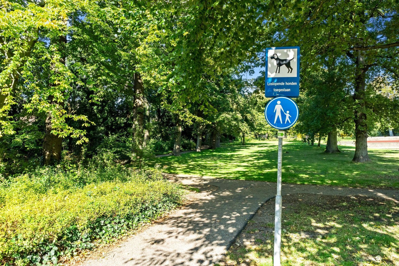 Groen van Prinstererlaan 41