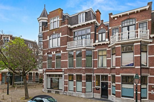 Antonie Duyckstraat 142 blur