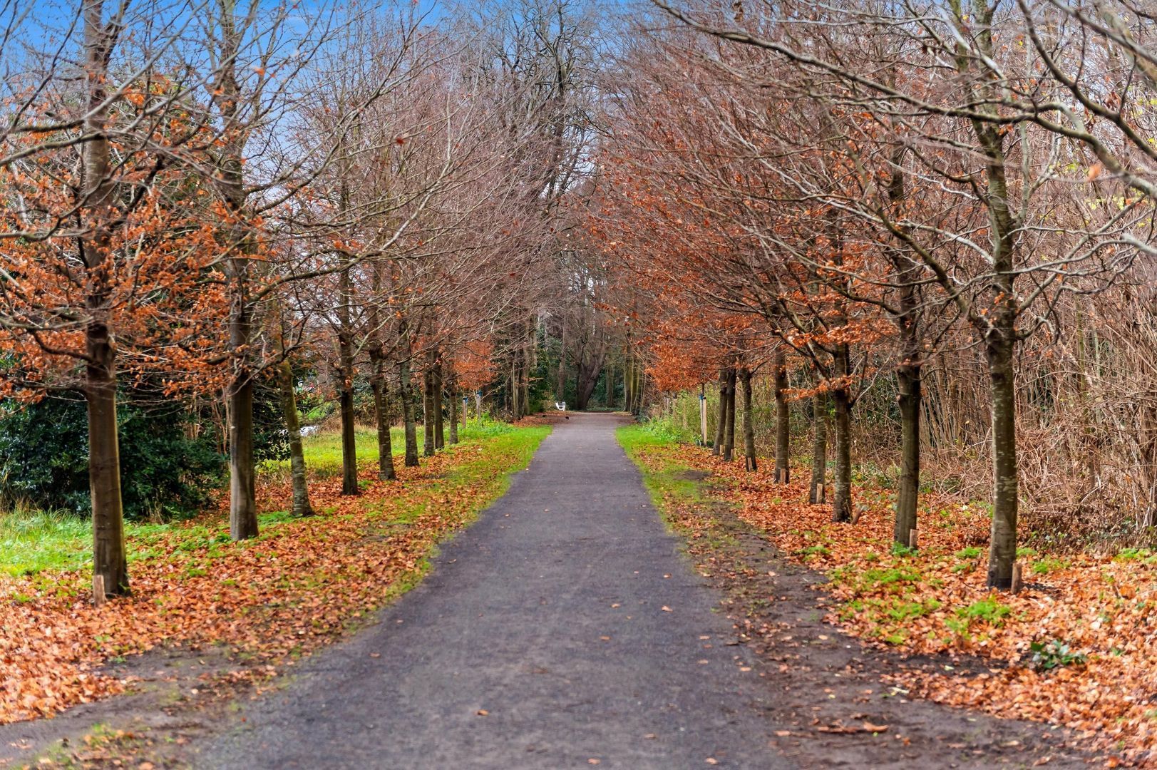 Nassau Dillenburgstraat 11