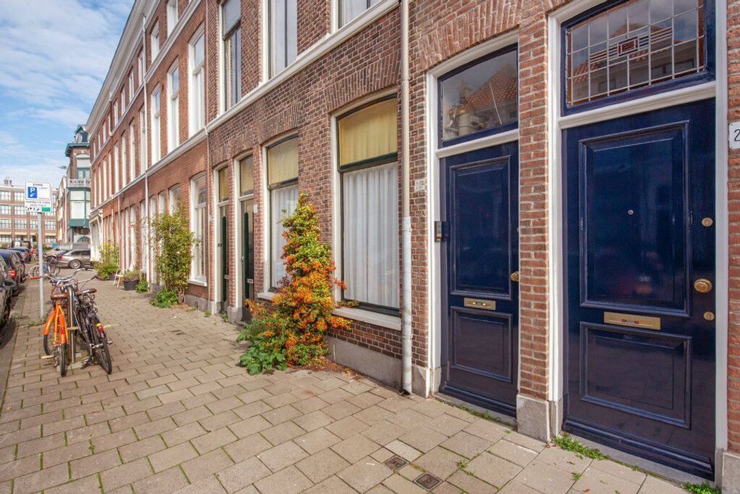 Borneostraat 207