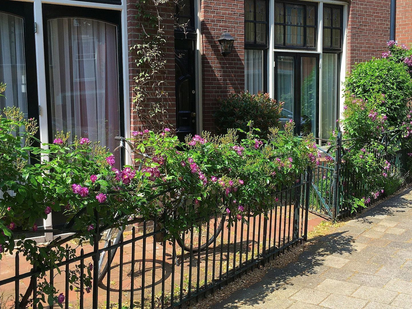 Frederik Hendriklaan 9