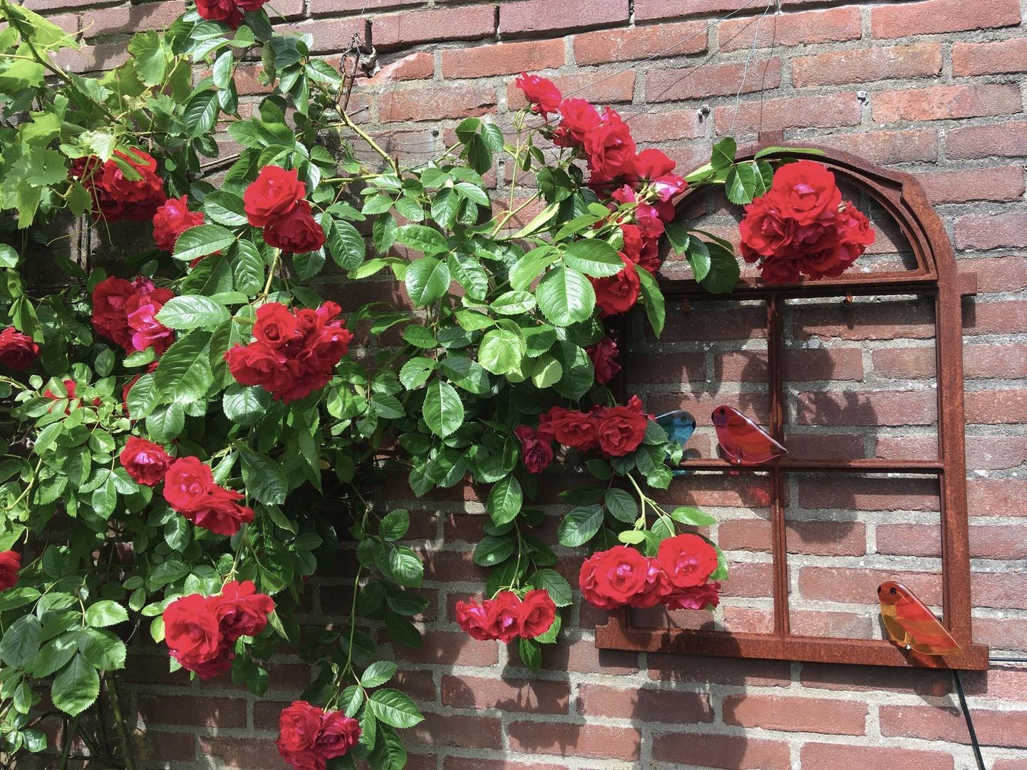 Frederik Hendriklaan 9