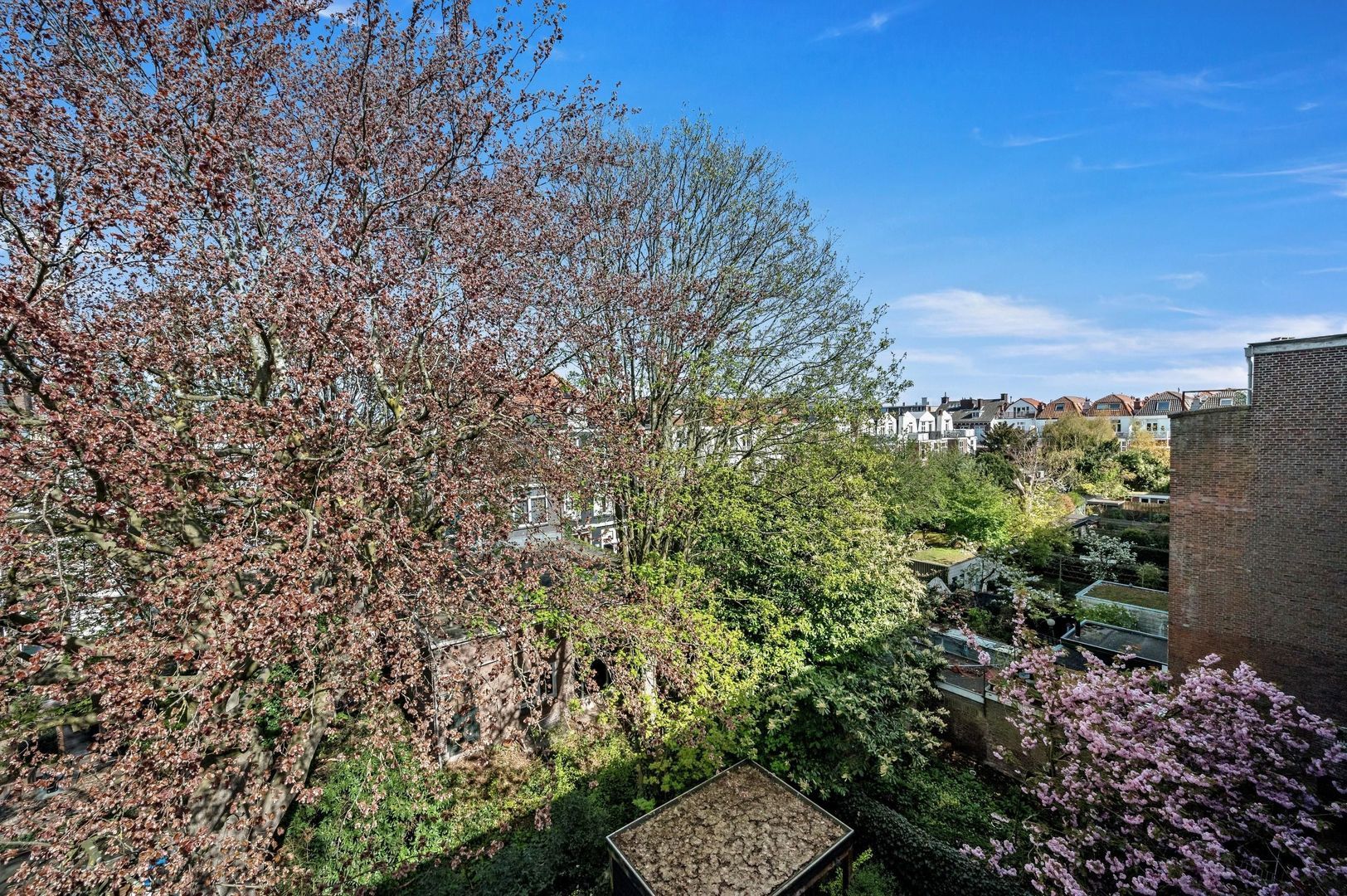 Gerard Reijnststraat 12