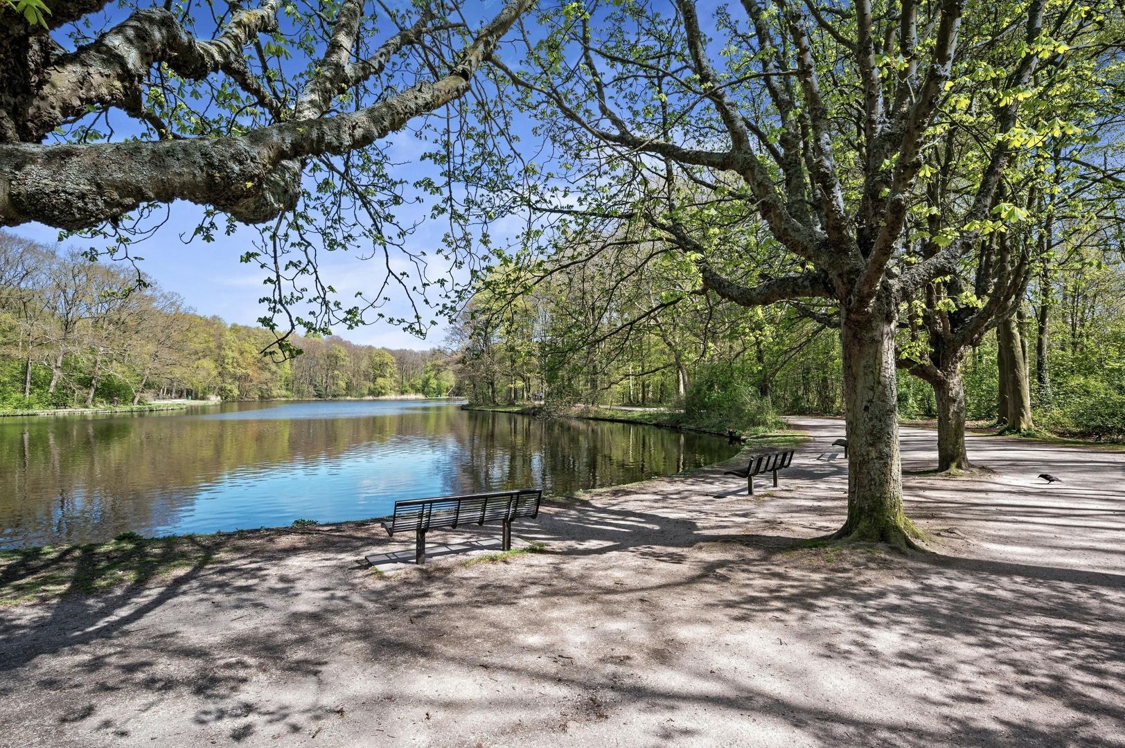 Gerard Reijnststraat 12