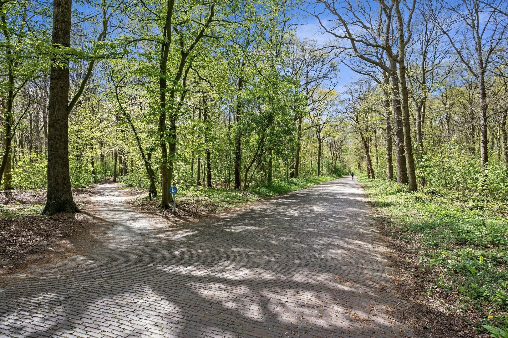 Gerard Reijnststraat 12