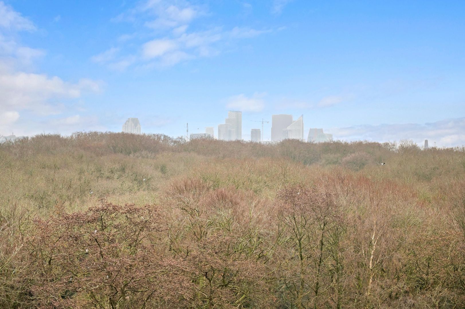 Ruychrocklaan 422