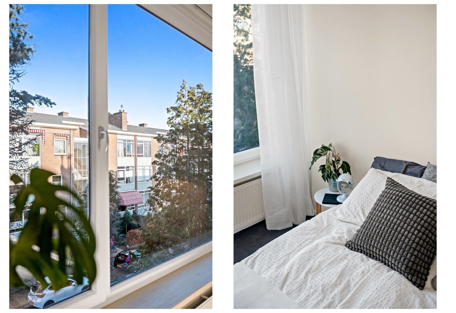 Hanedoesstraat 34