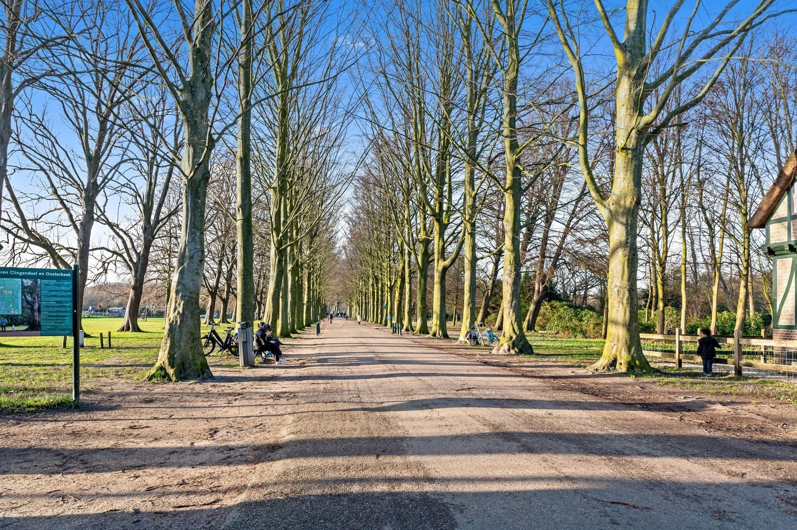 Hanedoesstraat 34