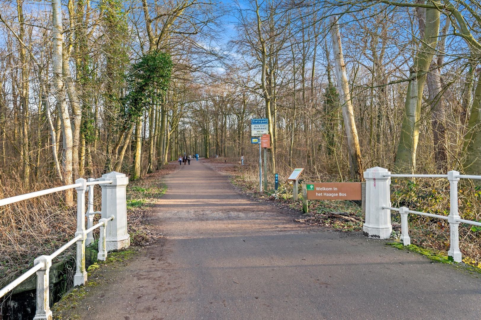 Hanedoesstraat 34
