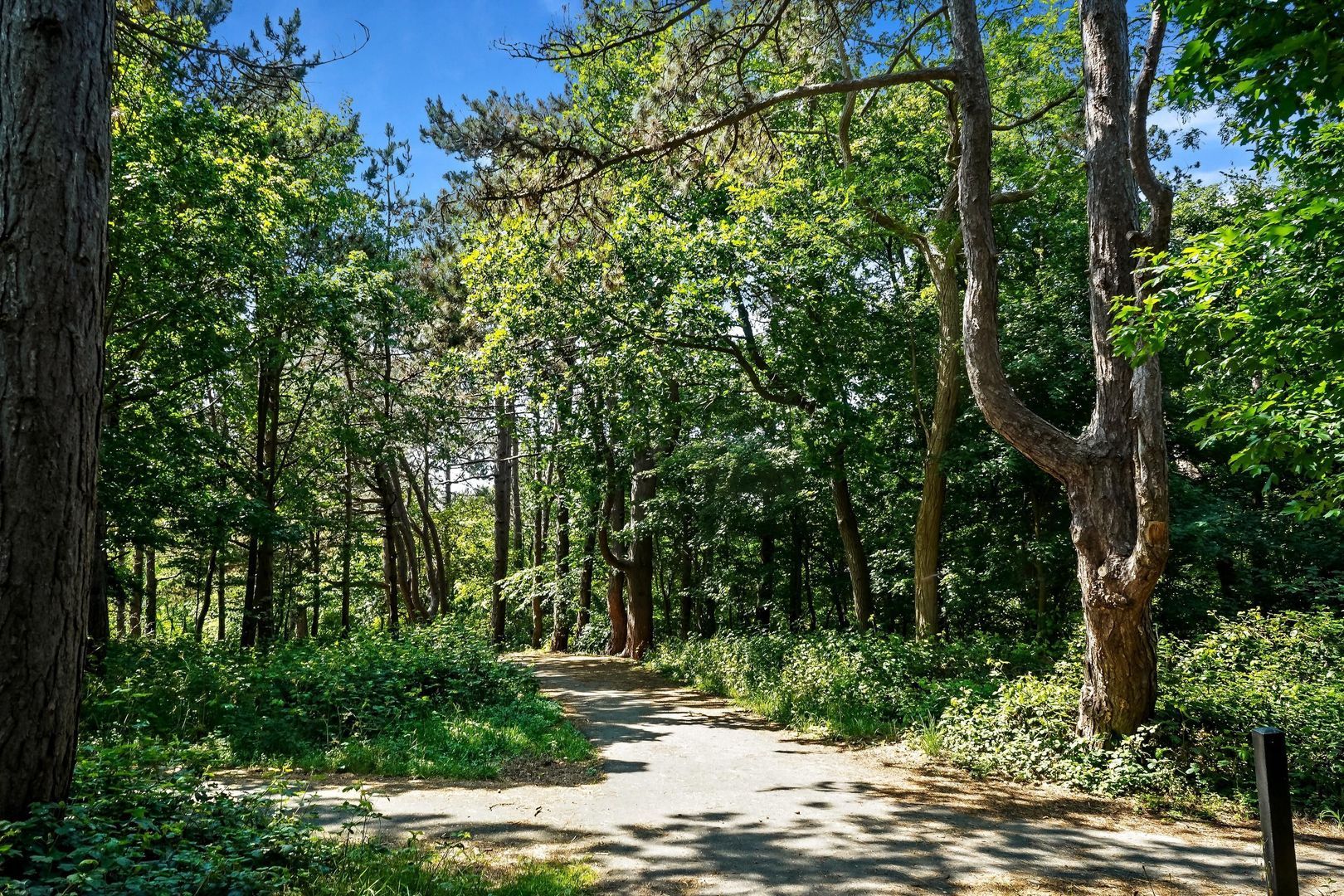 Plesmanweg 351