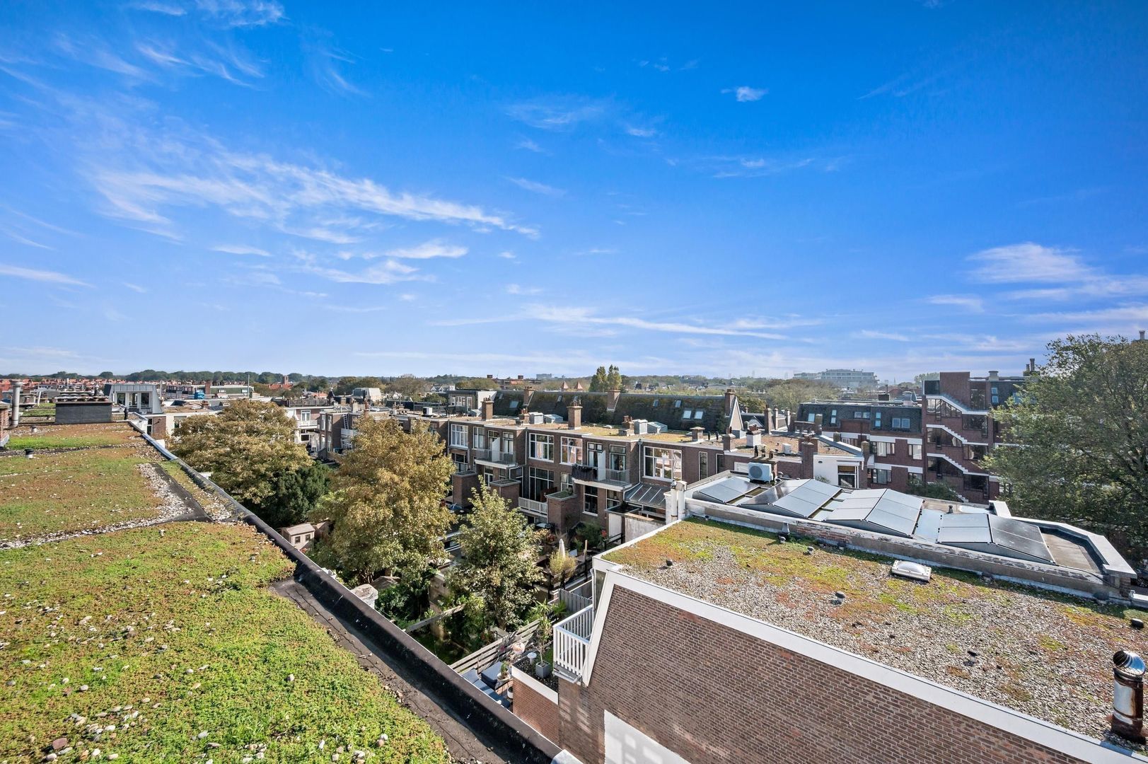 Haagsestraat 5