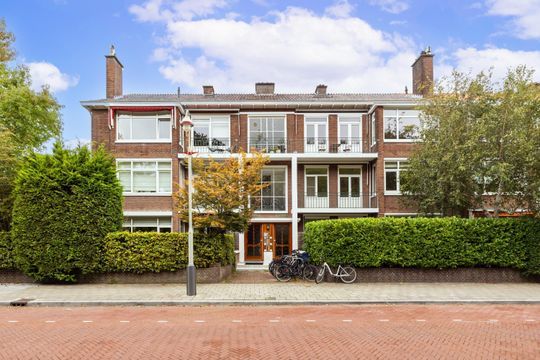 Goetlijfstraat 100 blur