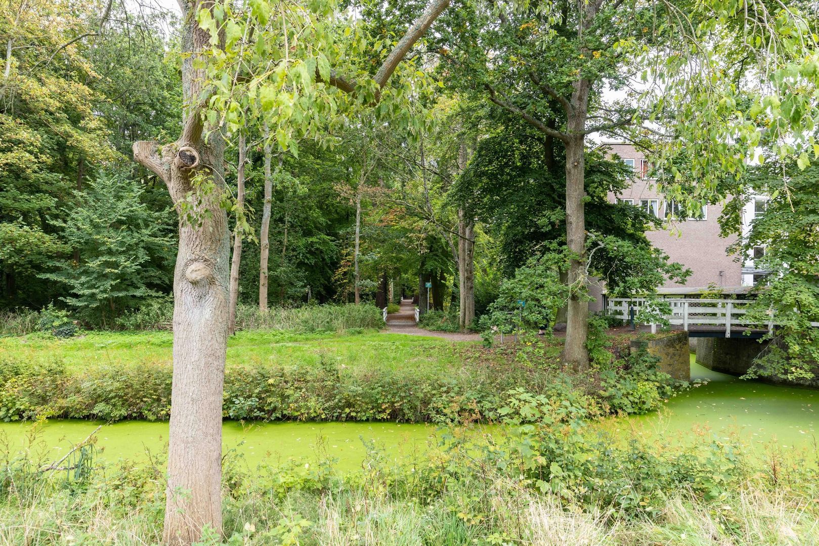 Goetlijfstraat 100