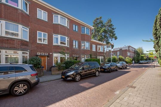 Van Nijenrodestraat in 's-Gravenhage
