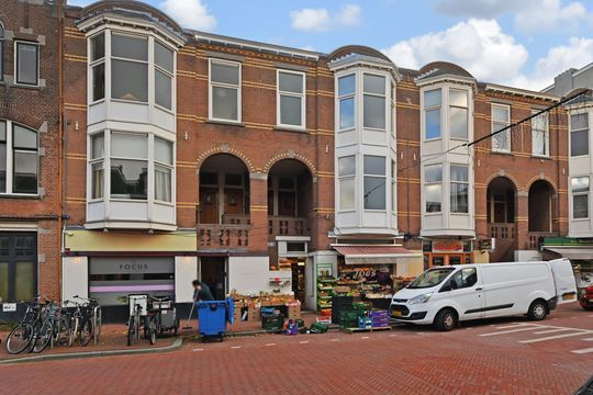 homes for rent on Theresiastraat 232