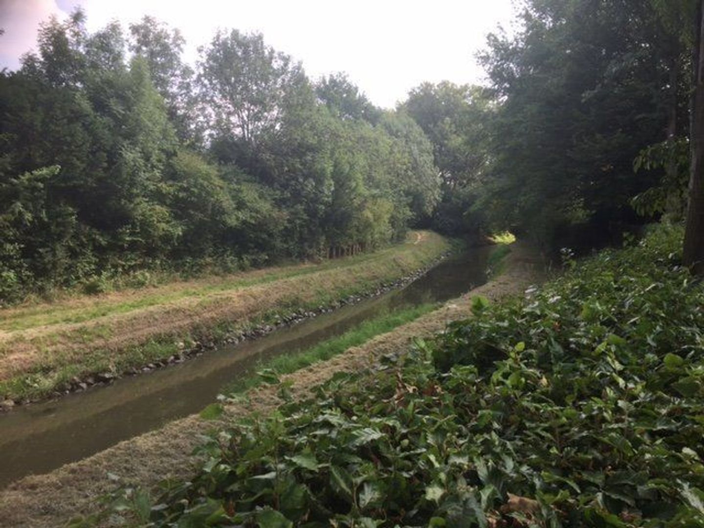 Thorbeckestraat 80, Sittard foto-14