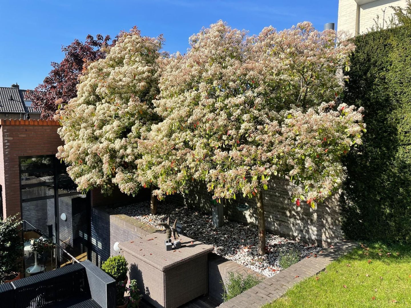 Mergelweg 89, Maastricht foto-31