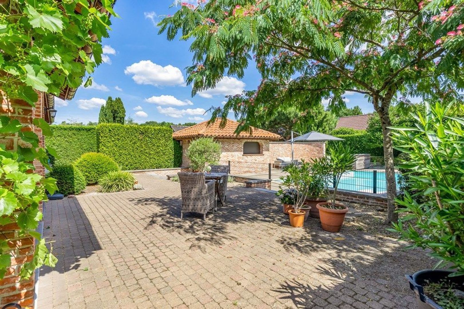 Kattestaartstraat 26, Zutendaal foto-8