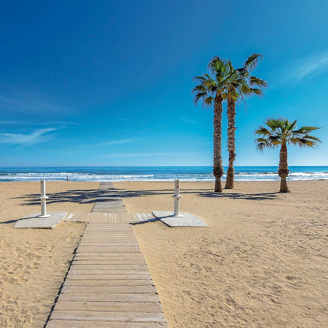 Calle Helena 4, Torrevieja foto-10