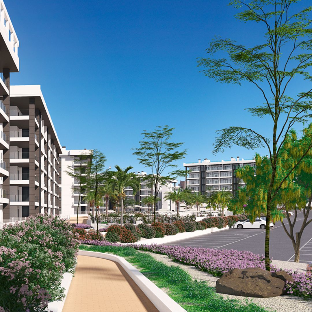 Calle Helena 4, Torrevieja foto-9