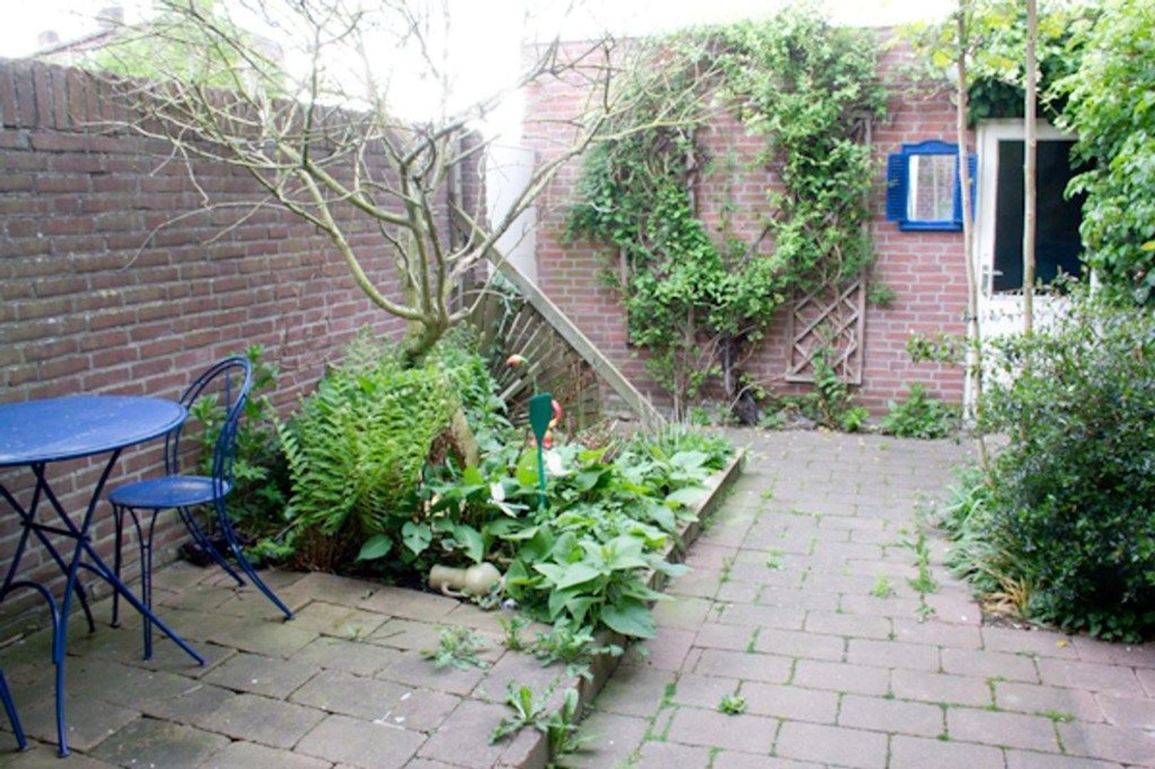 Koning Clovisstraat 50 A, Maastricht foto-12