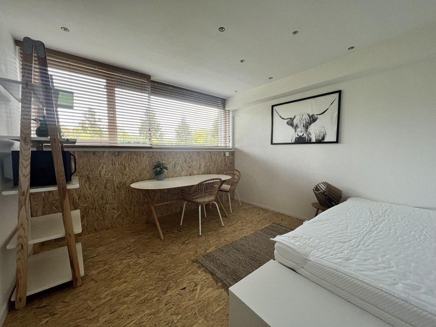 Nassaulaan 8 A, Maastricht foto-5