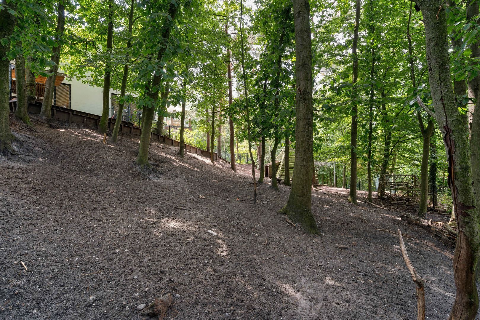 Exdel 24 image 1