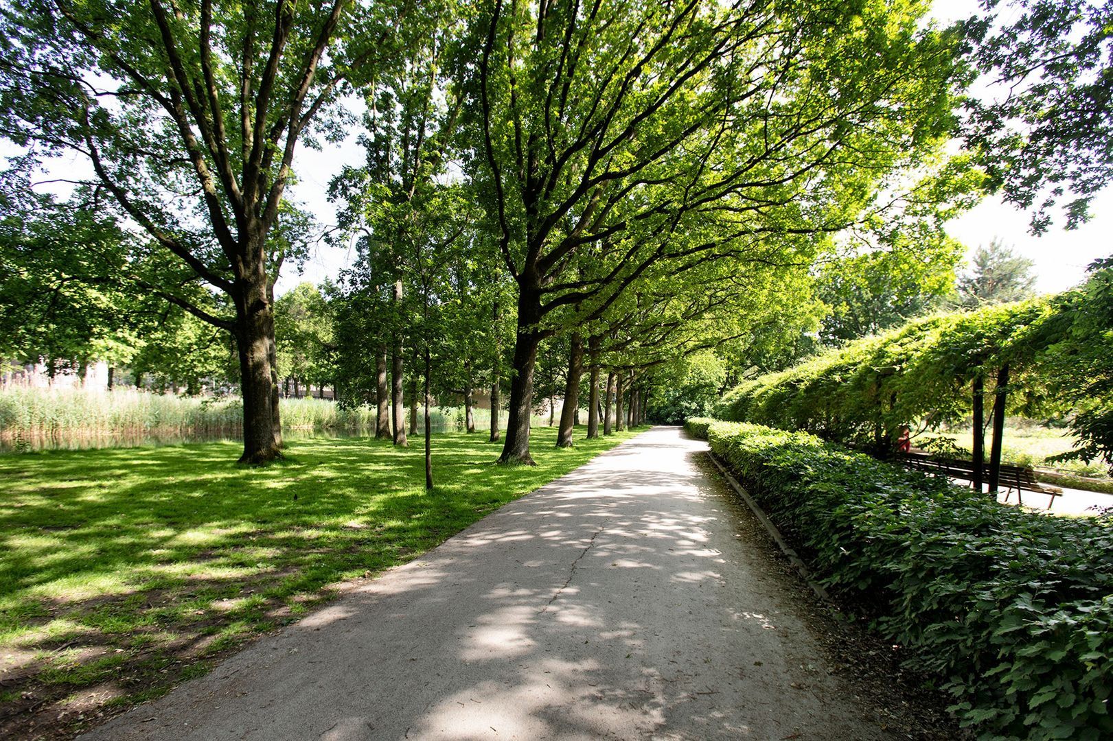 Willem de Zwijgerlaan 237 E, Amsterdam foto-41