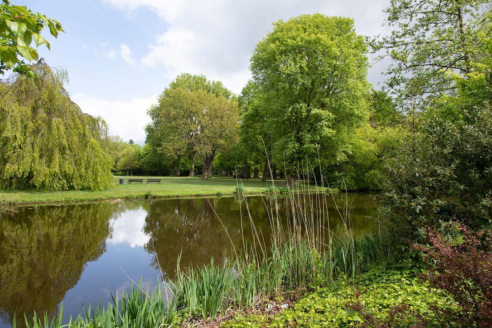 Minervalaan 41 1, Amsterdam foto-36