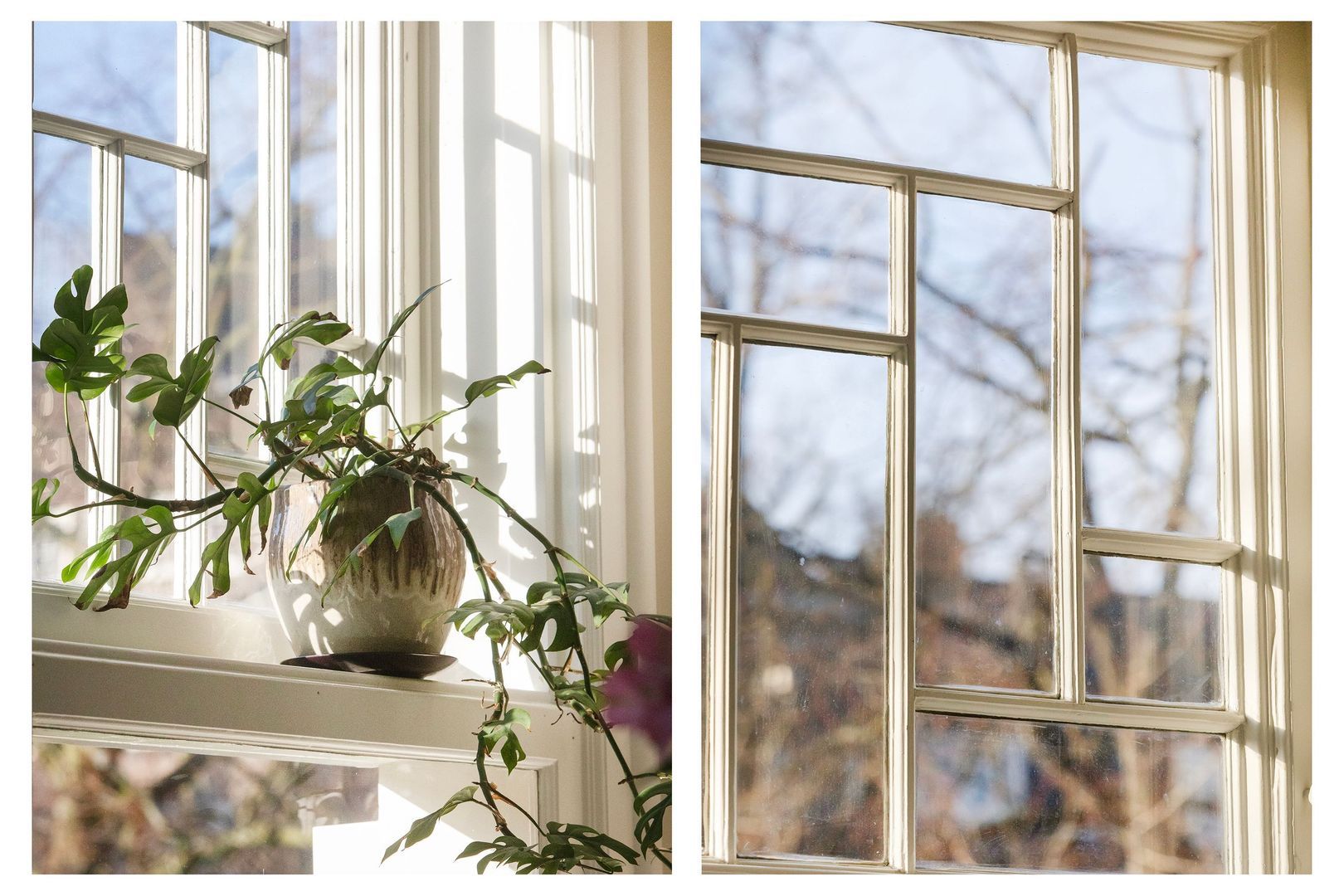 Minervalaan 41 1, Amsterdam foto-17