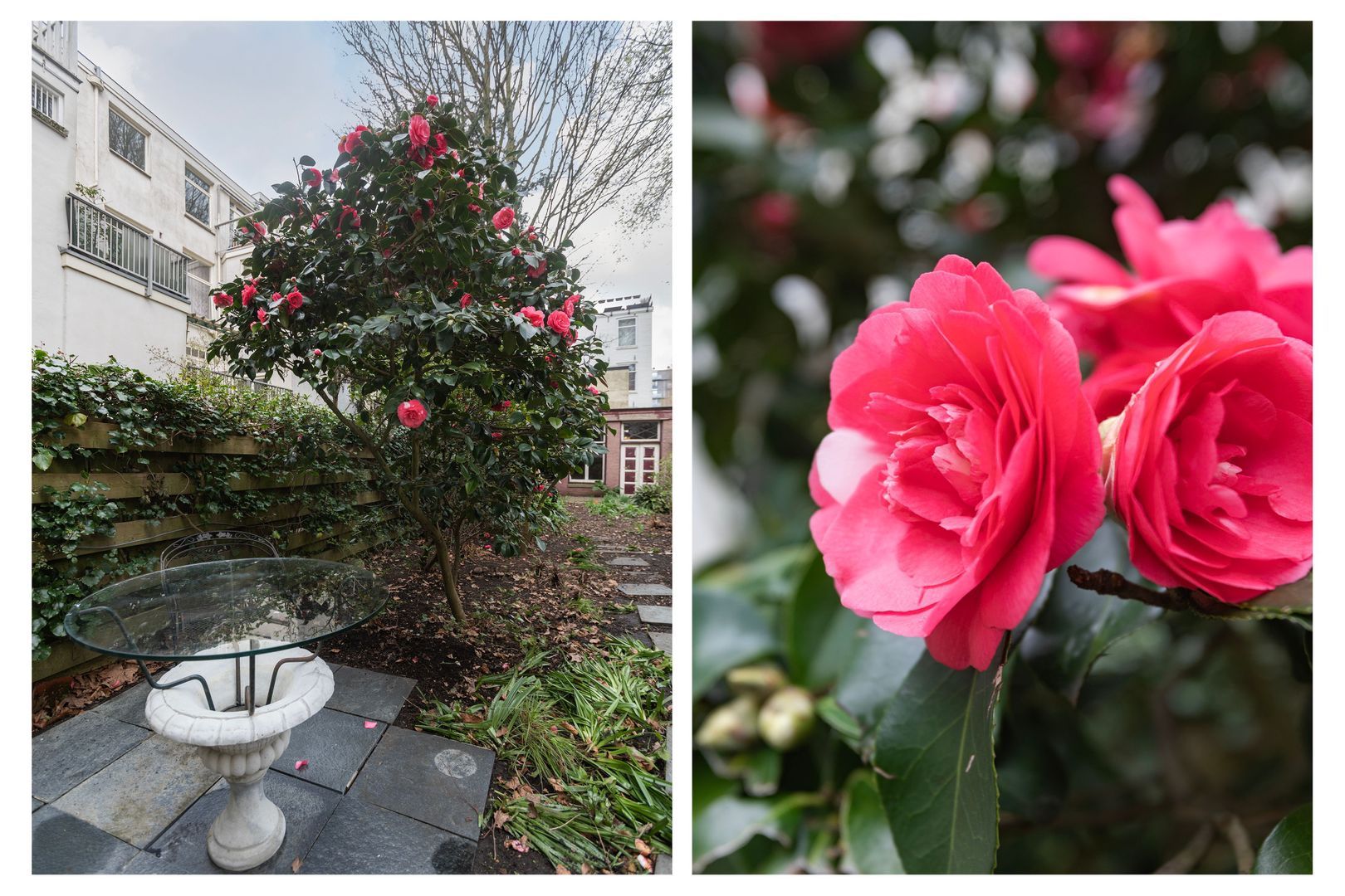 Amstel 59, Amsterdam foto-21