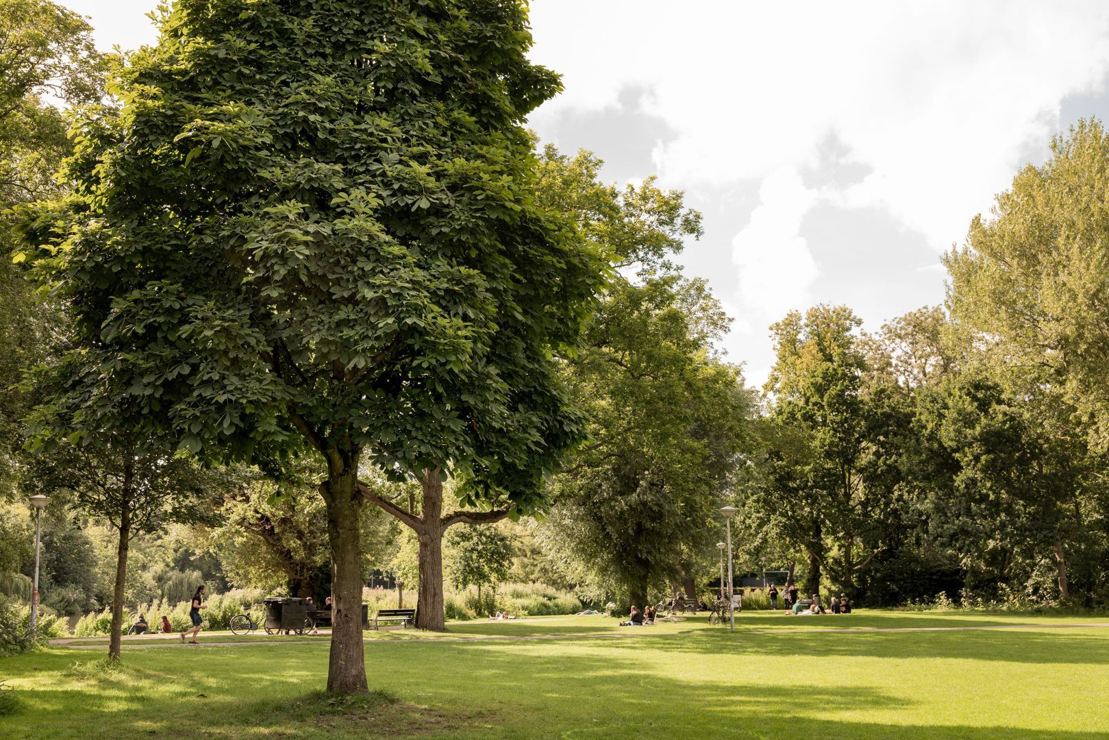 Johannes Verhulststraat 193 3, Amsterdam foto-61
