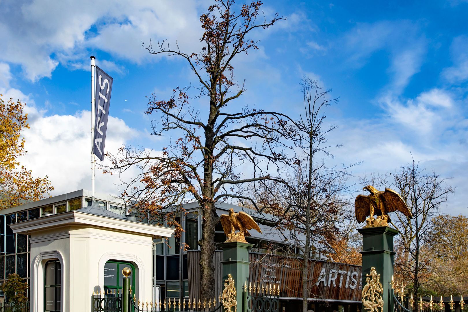 Geschutswerf 33, Amsterdam foto-63