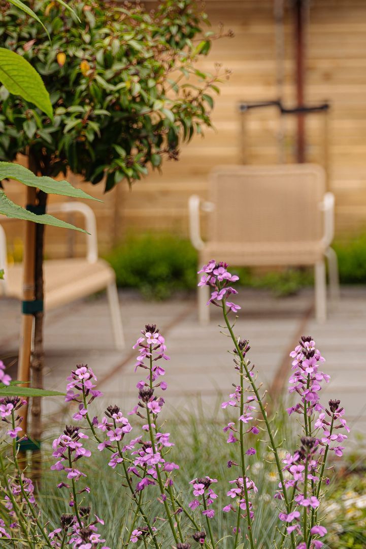 Willemsparkweg 12 O, Amsterdam foto-19