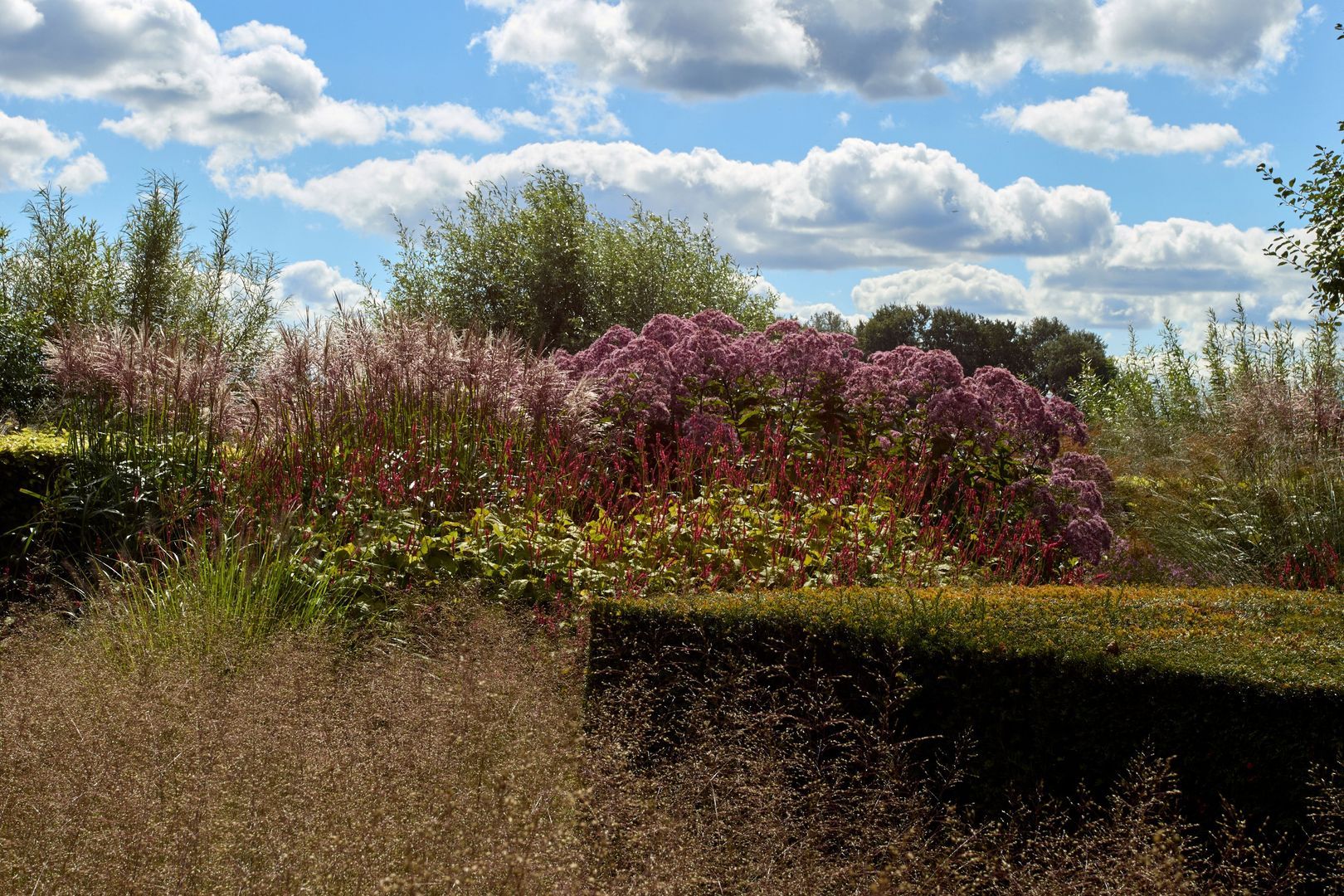 De Haal 72, Oostzaan foto-5