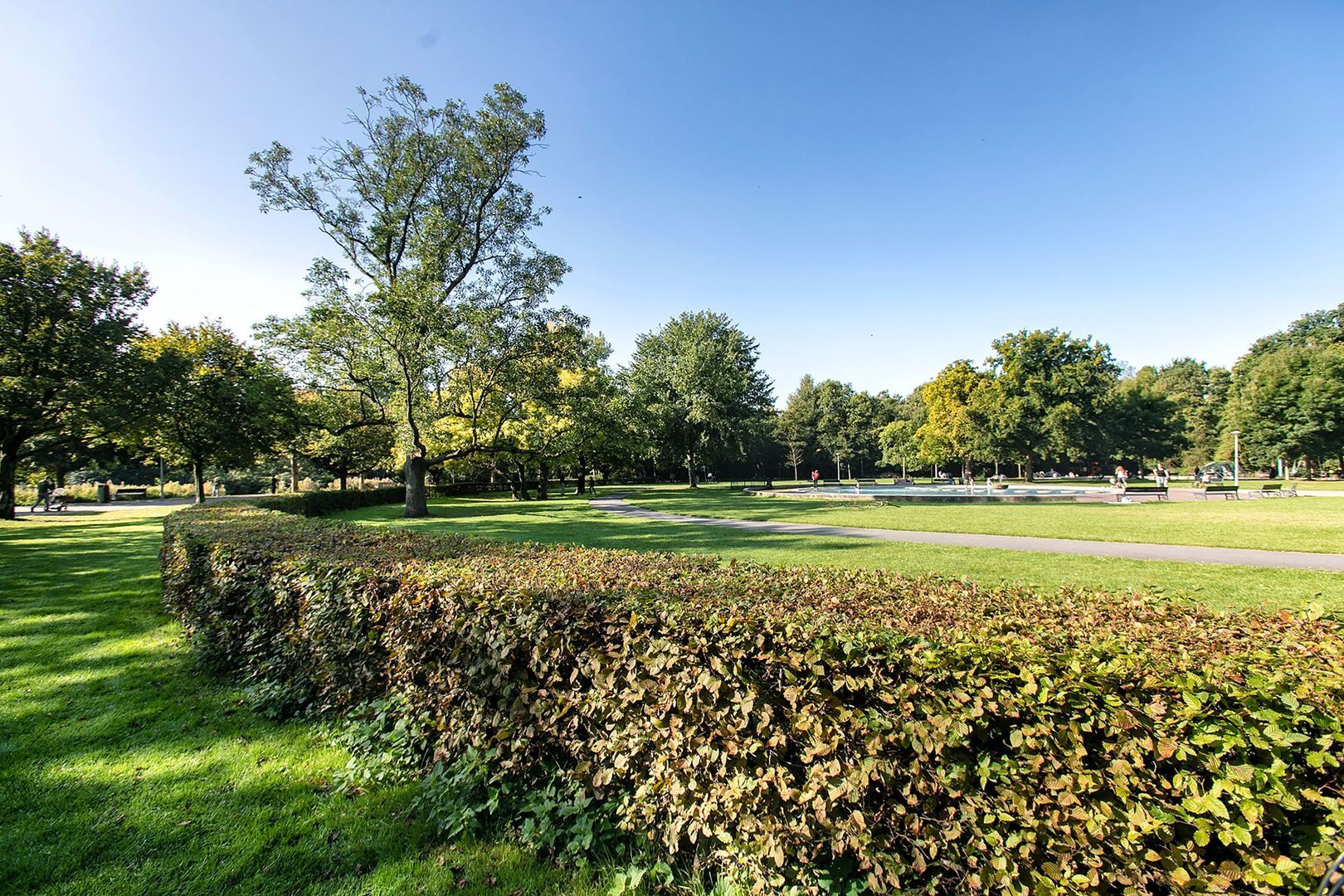 Oranje Nassaulaan 41, Amsterdam foto-47