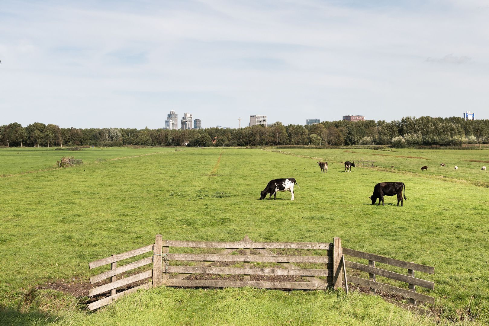 Amsteldijk Noord 104 B, Amstelveen foto-30