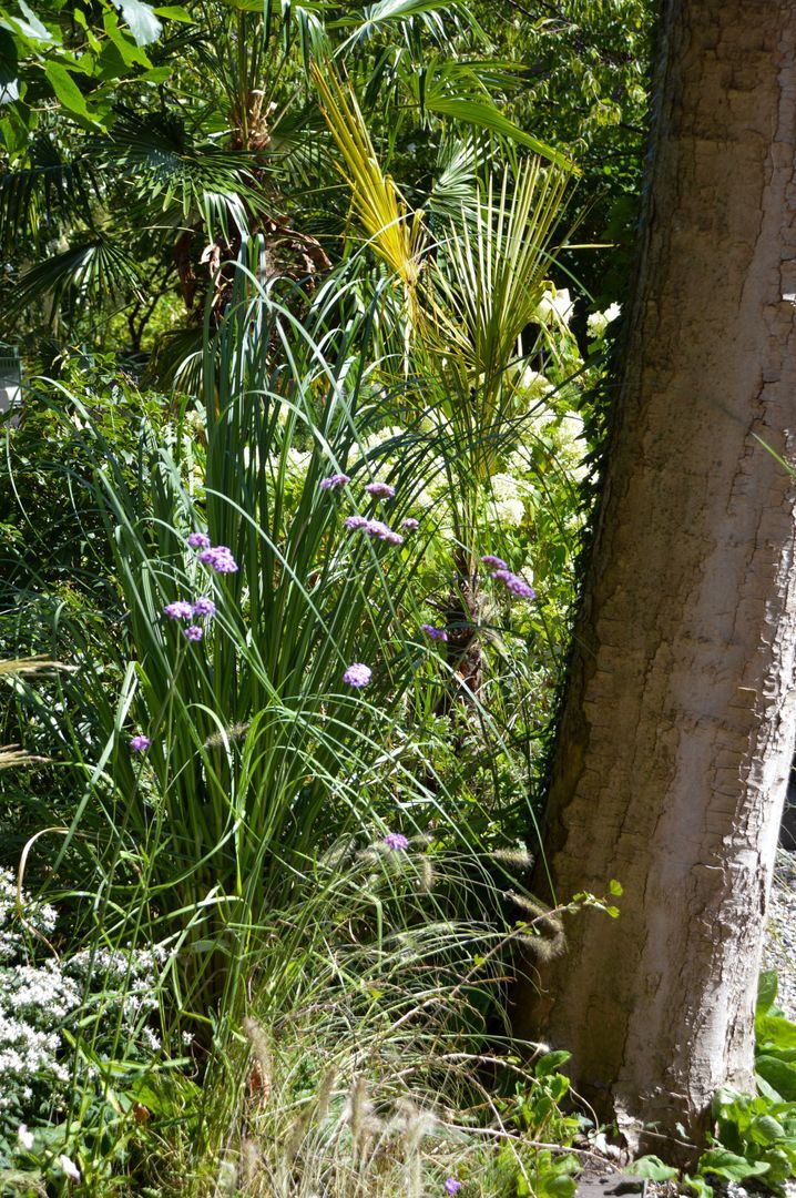 Surinameplein 10 H, Amsterdam foto-16