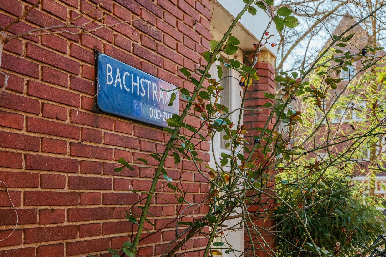 Bachstraat 11, Amsterdam foto-10