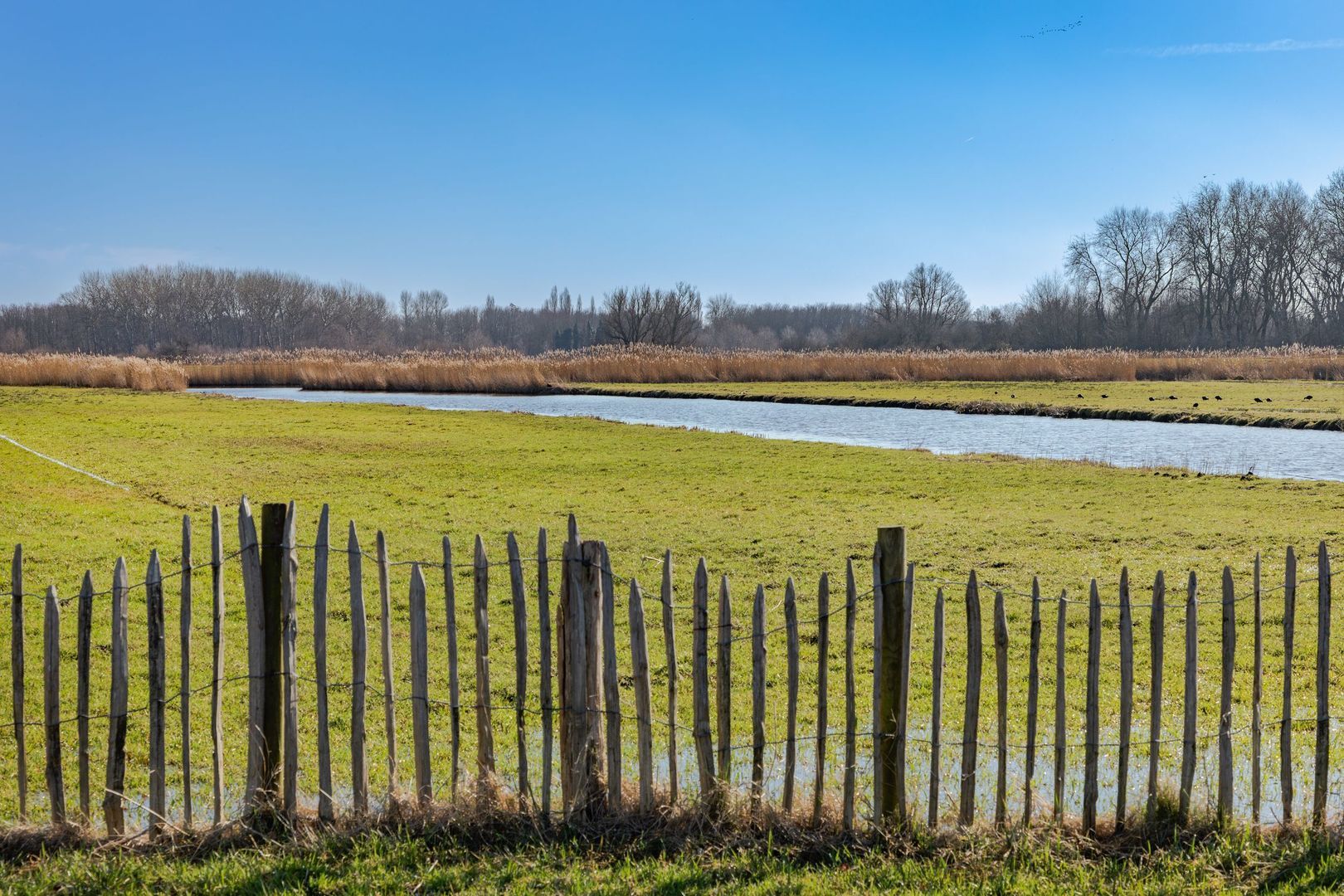 De Haal 72, Oostzaan foto-50